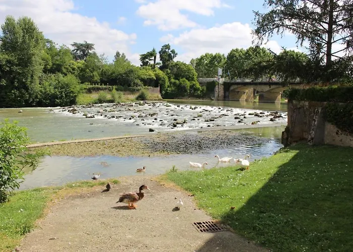 Des Graverots * Aire-sur-lʼAdour