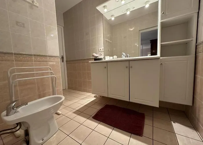 Des Graverots Aire-sur-lʼAdour